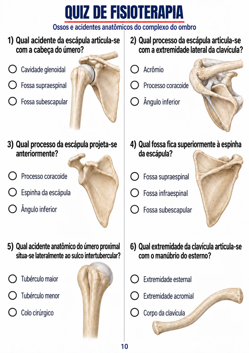 Quiz sobre cintura escapular e ombro