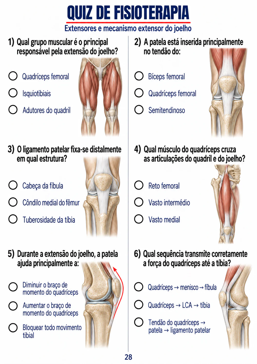 Quiz sobre extensores e mecanismo extensor do joelho