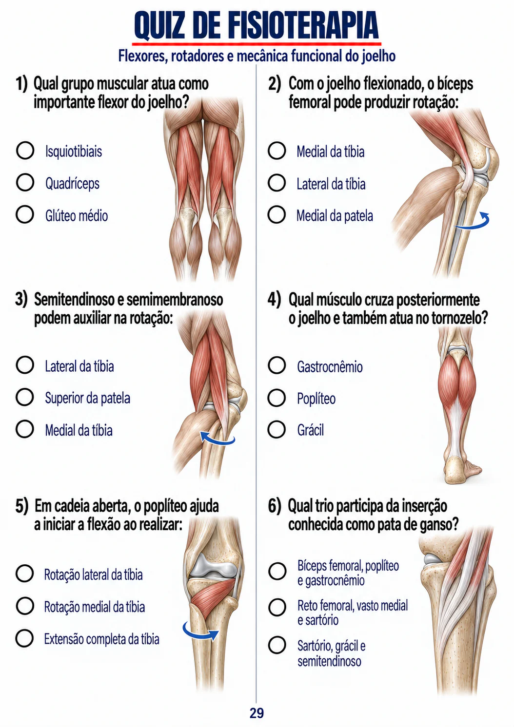 Quiz sobre mecânica funcional do joelho